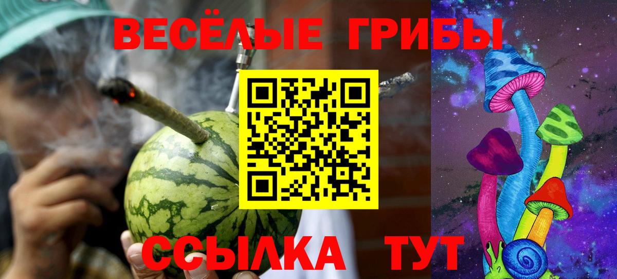 Галлюциногенные грибы мицелий Самара