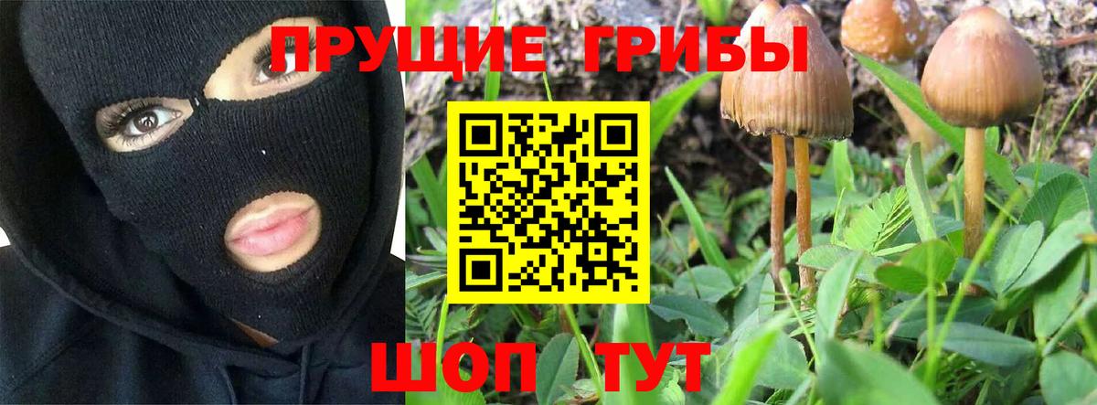 Самара  Псилоцибиновые грибы MAGIC MUSHROOMS  Вход с VPN  купить наркотики сайты  Псилоцибиновые грибы Cubensis 
